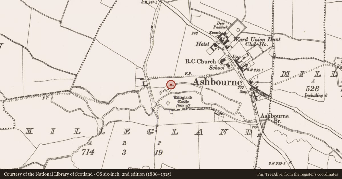 Ordnance Survey six-inch map, 2nd edition (1888–1915) covering the location of Settlement cluster, Killegland, County Meath, with a pin at the register's coordinates