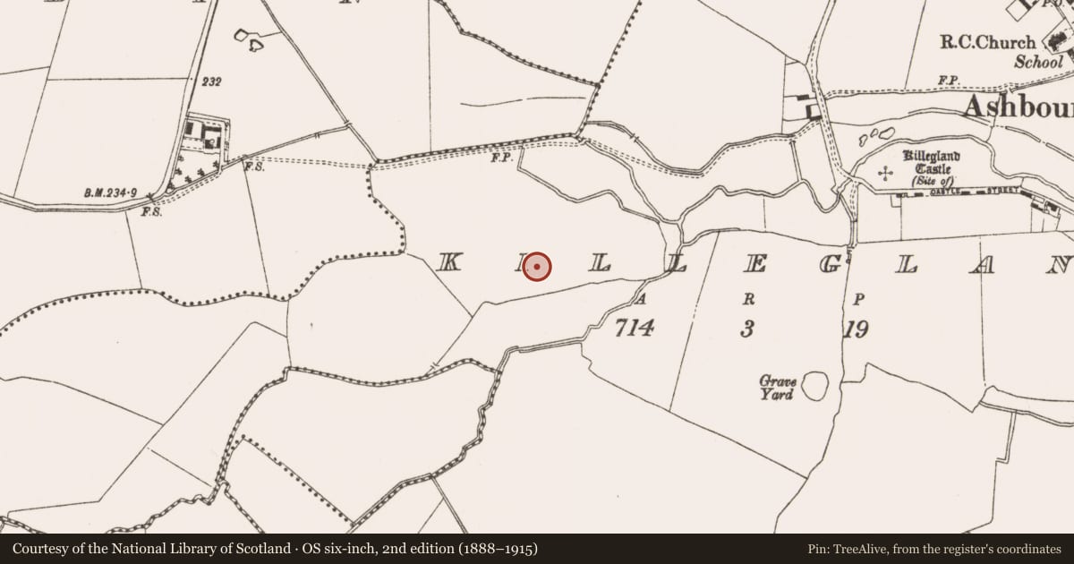 Ordnance Survey six-inch map, 2nd edition (1888–1915) covering the location of Ringfort - rath, Killegland, County Meath, with a pin at the register's coordinates