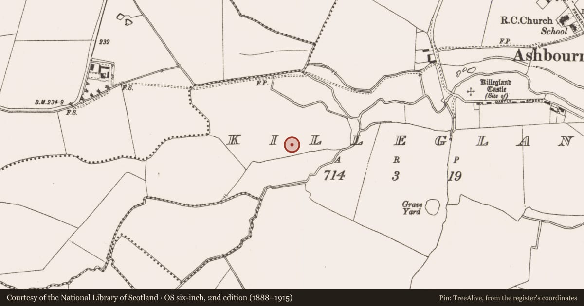 Ordnance Survey six-inch map, 2nd edition (1888–1915) covering the location of Kiln, Killegland, County Meath, with a pin at the register's coordinates