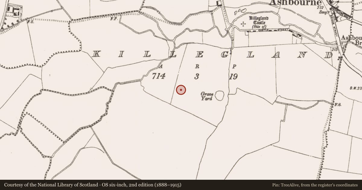Ordnance Survey six-inch map, 2nd edition (1888–1915) covering the location of Ring-ditch, Killegland, County Meath, with a pin at the register's coordinates