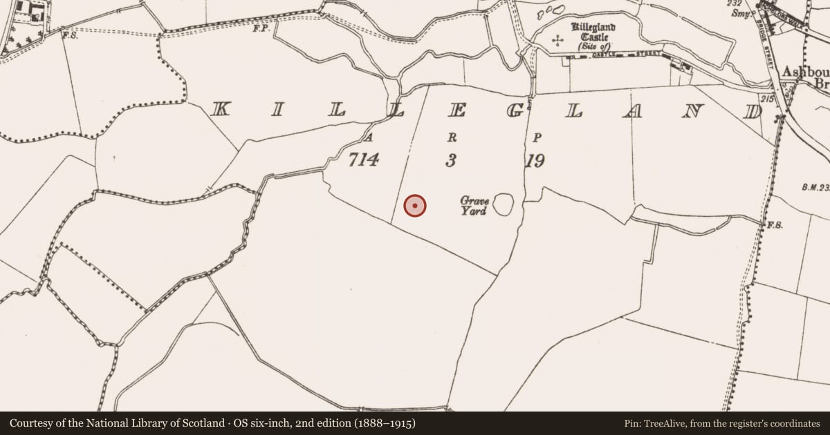 Ordnance Survey six-inch map, 2nd edition (1888–1915) covering the location of Ring-ditch, Killegland, County Meath, with a pin at the register's coordinates
