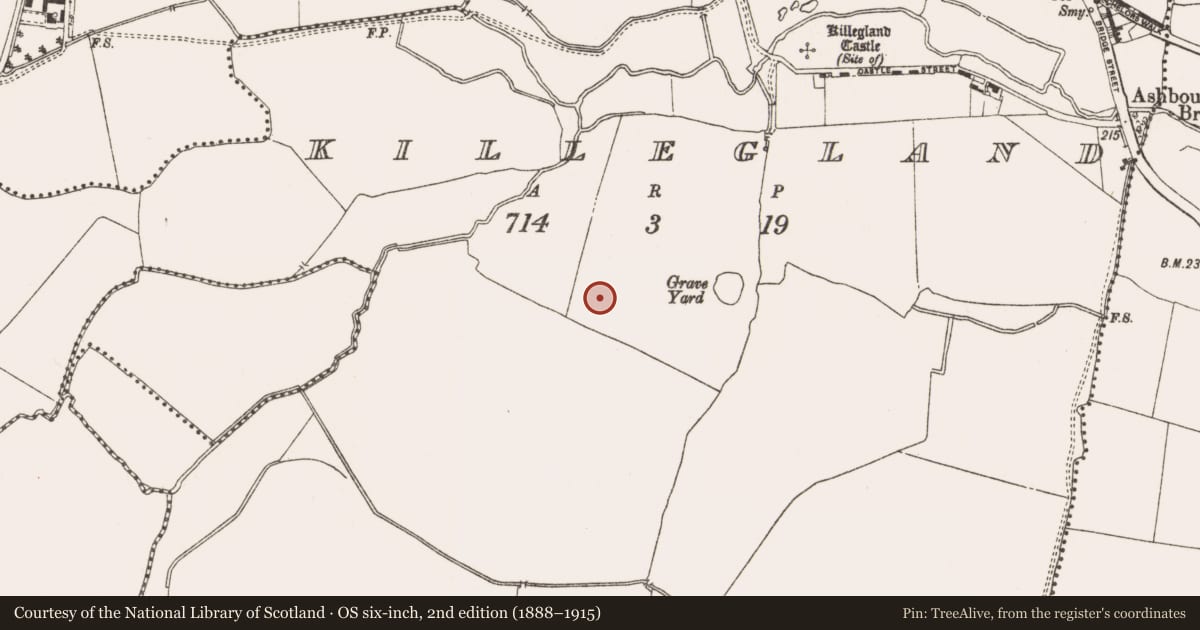 Ordnance Survey six-inch map, 2nd edition (1888–1915) covering the location of Ring-ditch, Killegland, County Meath, with a pin at the register's coordinates