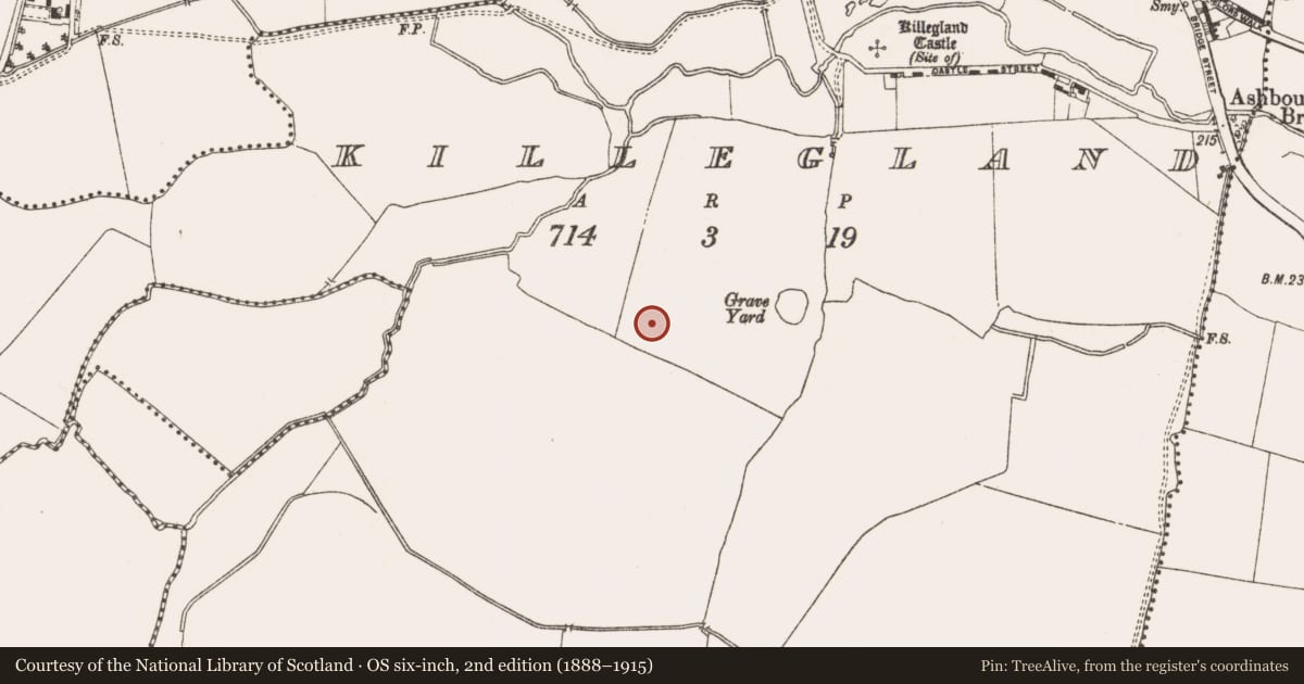 Ordnance Survey six-inch map, 2nd edition (1888–1915) covering the location of Ring-ditch, Killegland, County Meath, with a pin at the register's coordinates
