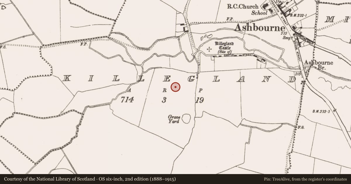 Ordnance Survey six-inch map, 2nd edition (1888–1915) covering the location of Ring-ditch, Killegland, County Meath, with a pin at the register's coordinates