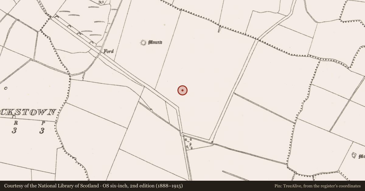 Ordnance Survey six-inch map, 2nd edition (1888–1915) covering the location of Ring-ditch, Kilrue, County Meath, with a pin at the register's coordinates