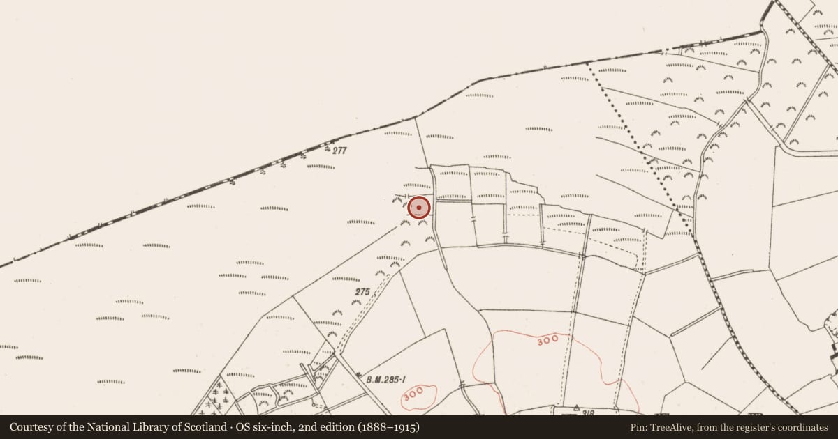 Ordnance Survey six-inch map, 2nd edition (1888–1915) covering the location of Road - unclassified togher, Baltigeer, County Meath, with a pin at the register's coordinates