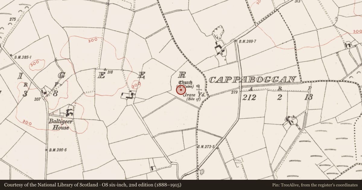 Ordnance Survey six-inch map, 2nd edition (1888–1915) covering the location of Field system, Baltigeer, County Meath, with a pin at the register's coordinates