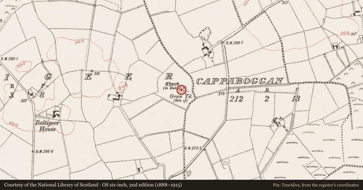 Ordnance Survey six-inch map, 2nd edition (1888–1915) covering the location of Graveyard, Baltigeer, County Meath, with a pin at the register's coordinates
