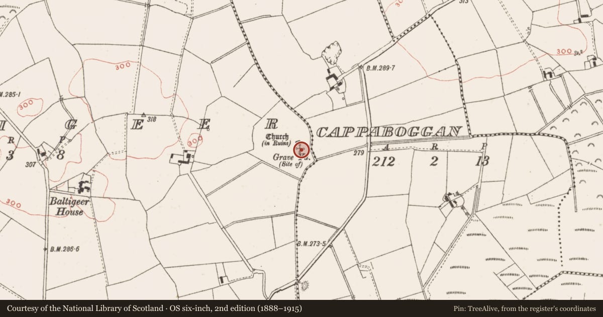 Ordnance Survey six-inch map, 2nd edition (1888–1915) covering the location of Ecclesiastical enclosure, Baltigeer, Cappaboggan, County Meath, with a pin at the register's coordinates