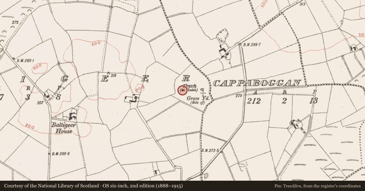 Ordnance Survey six-inch map, 2nd edition (1888–1915) covering the location of Bullaun stone, Baltigeer, County Meath, with a pin at the register's coordinates