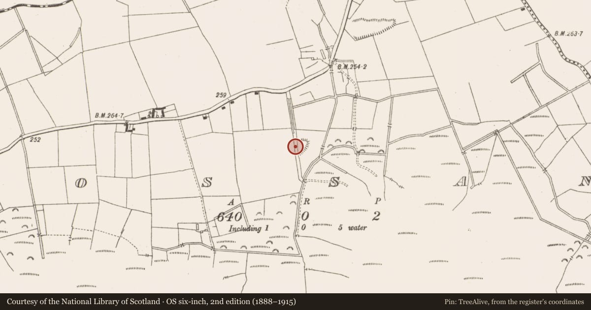 Ordnance Survey six-inch map, 2nd edition (1888–1915) covering the location of Ringfort - rath, Rossan, County Meath, with a pin at the register's coordinates