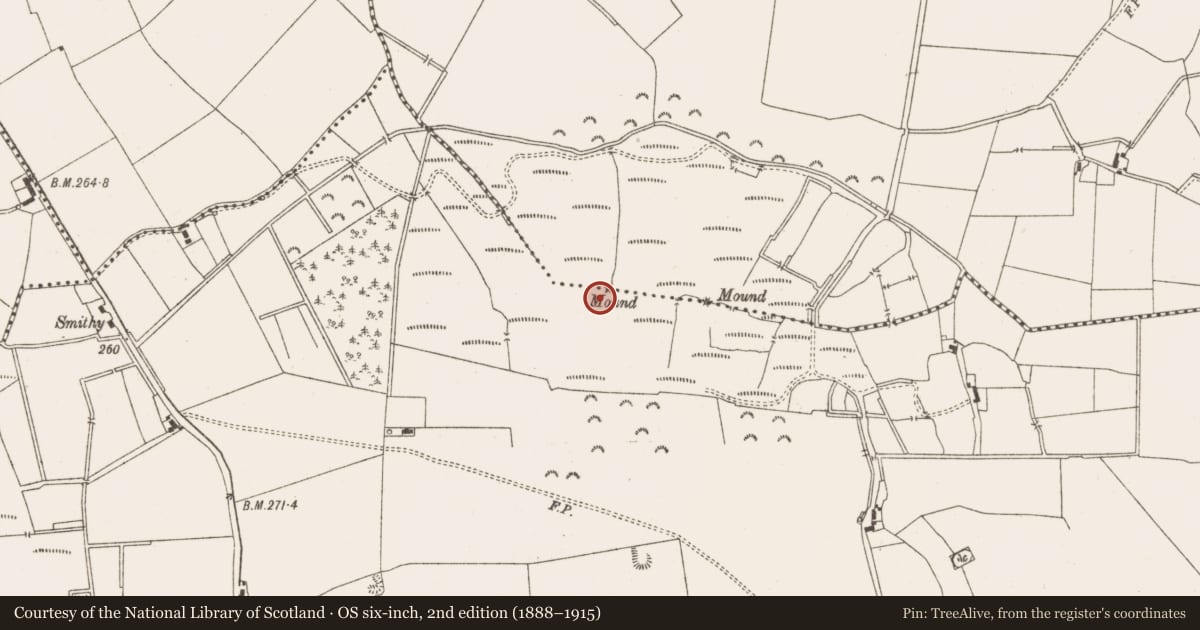 Ordnance Survey six-inch map, 2nd edition (1888–1915) covering the location of Boundary mound, Ardnamullan, Ticroghan, County Meath, with a pin at the register's coordinates