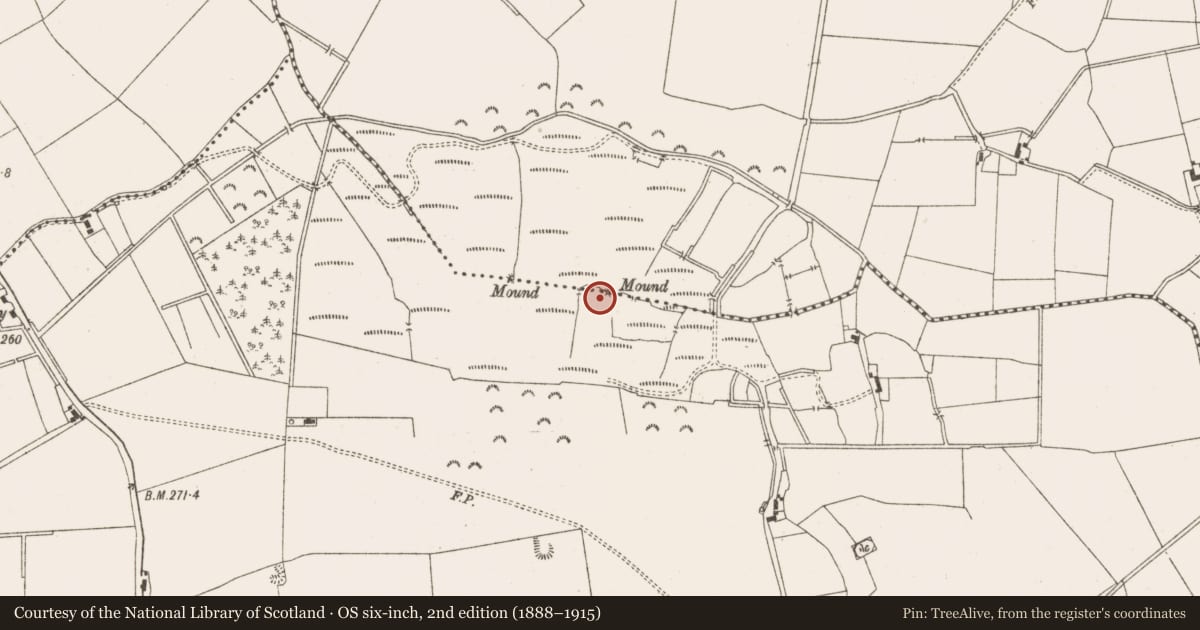 Ordnance Survey six-inch map, 2nd edition (1888–1915) covering the location of Boundary mound, Ardnamullan, Ticroghan, County Meath, with a pin at the register's coordinates
