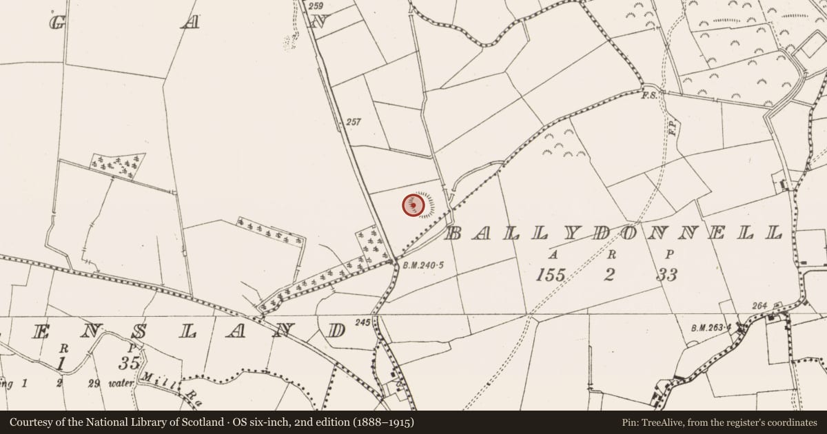 Ordnance Survey six-inch map, 2nd edition (1888–1915) covering the location of Ringfort - rath, Kildangan, County Meath, with a pin at the register's coordinates