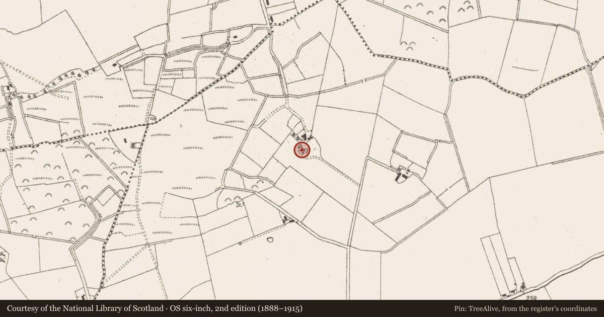 Ordnance Survey six-inch map, 2nd edition (1888–1915) covering the location of Ringfort - rath, Harristown, County Meath, with a pin at the register's coordinates
