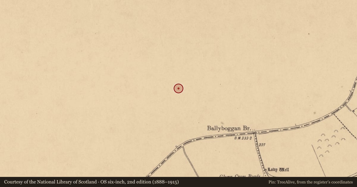 Ordnance Survey six-inch map, 2nd edition (1888–1915) covering the location of Field system, Ballyboggan, County Meath, with a pin at the register's coordinates