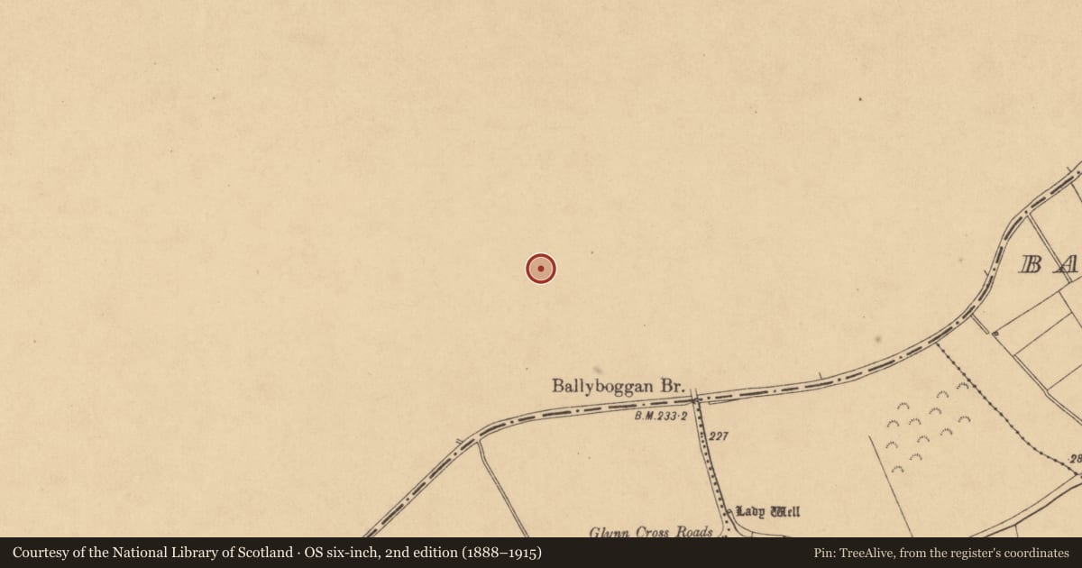 Ordnance Survey six-inch map, 2nd edition (1888–1915) covering the location of Graveyard, Ballyboggan, County Meath, with a pin at the register's coordinates