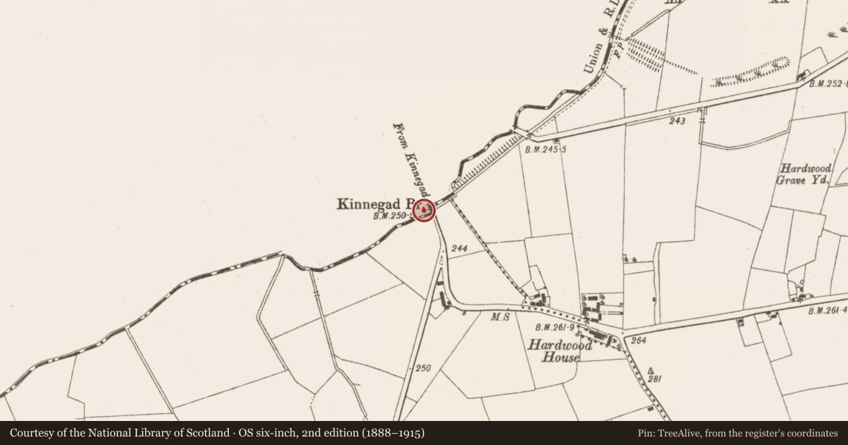 Ordnance Survey six-inch map, 2nd edition (1888–1915) covering the location of Bridge, Rossan, County Meath, with a pin at the register's coordinates