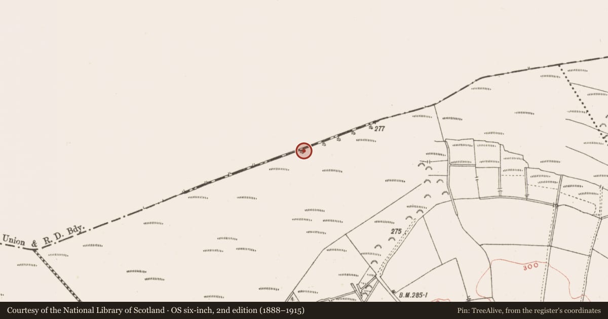 Ordnance Survey six-inch map, 2nd edition (1888–1915) covering the location of Road - class 3 togher, Baltigeer, County Meath, with a pin at the register's coordinates