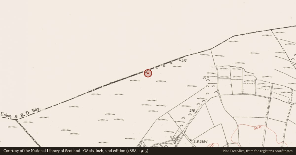 Ordnance Survey six-inch map, 2nd edition (1888–1915) covering the location of Structure - peatland, Baltigeer, County Meath, with a pin at the register's coordinates