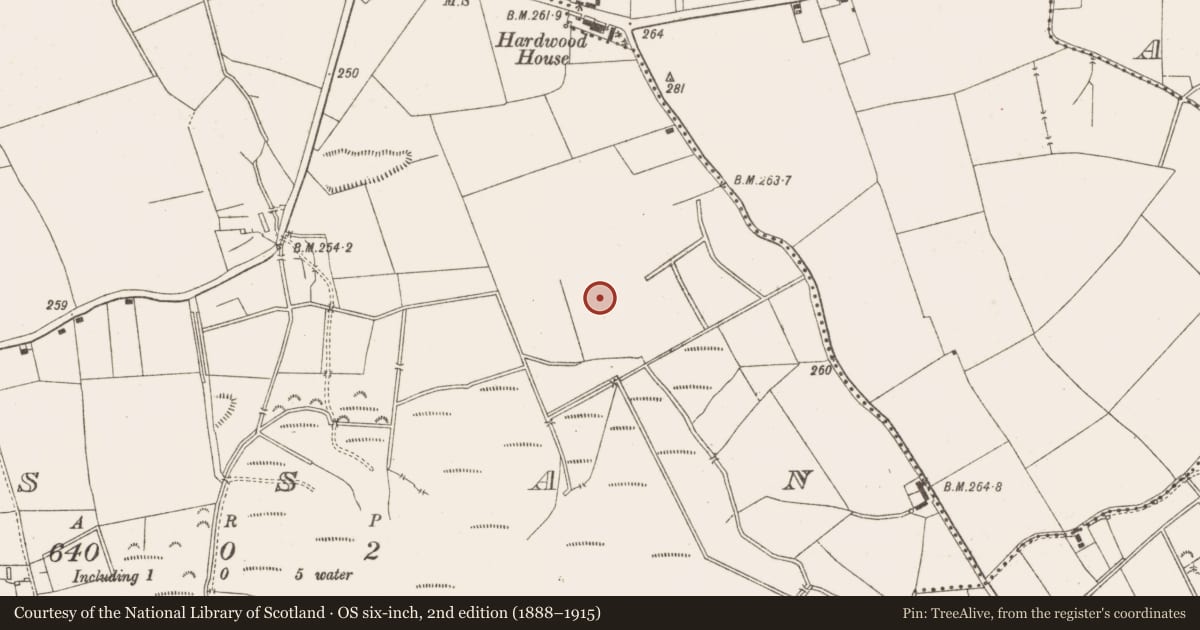 Ordnance Survey six-inch map, 2nd edition (1888–1915) covering the location of Excavation - miscellaneous, Rossan, County Meath, with a pin at the register's coordinates