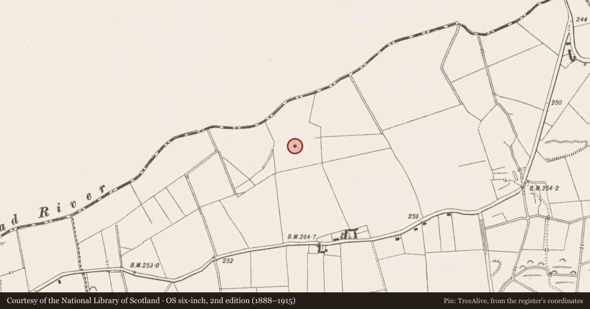Ordnance Survey six-inch map, 2nd edition (1888–1915) covering the location of Metalworking site, Rossan, County Meath, with a pin at the register's coordinates