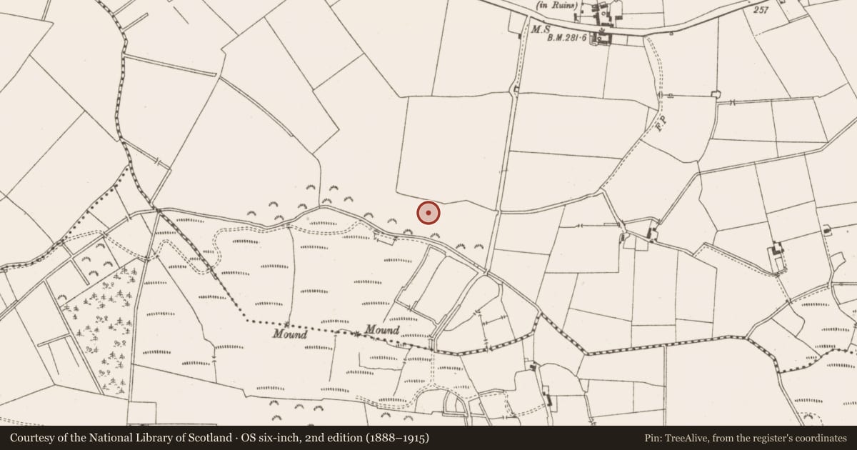 Ordnance Survey six-inch map, 2nd edition (1888–1915) covering the location of Charcoal-making site, Ardnamullan, County Meath, with a pin at the register's coordinates