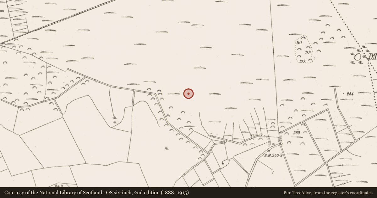 Ordnance Survey six-inch map, 2nd edition (1888–1915) covering the location of Road - class 1 togher, Knockersally Or Colehill, County Meath, with a pin at the register's coordinates