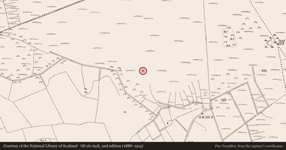 Ordnance Survey six-inch map, 2nd edition (1888–1915) covering the location of Road - class 3 togher, Knockersally Or Colehill, County Meath, with a pin at the register's coordinates