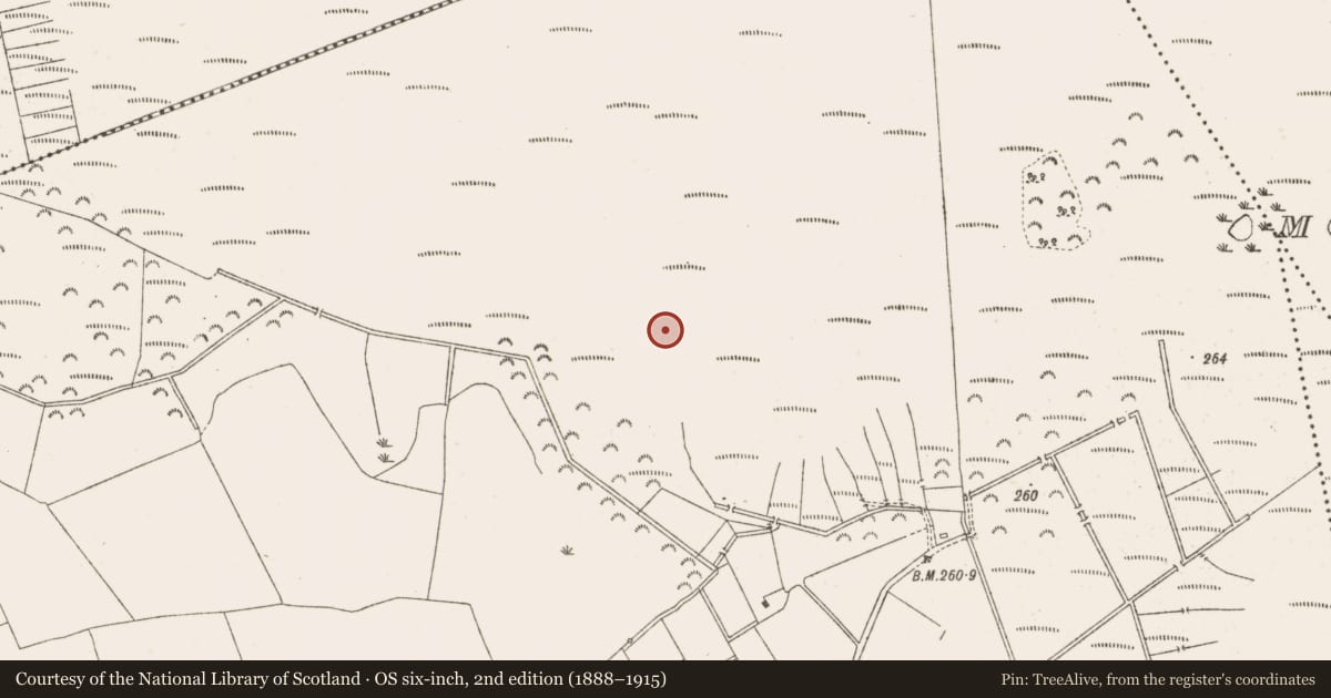 Ordnance Survey six-inch map, 2nd edition (1888–1915) covering the location of Road - class 3 togher, Knockersally Or Colehill, County Meath, with a pin at the register's coordinates