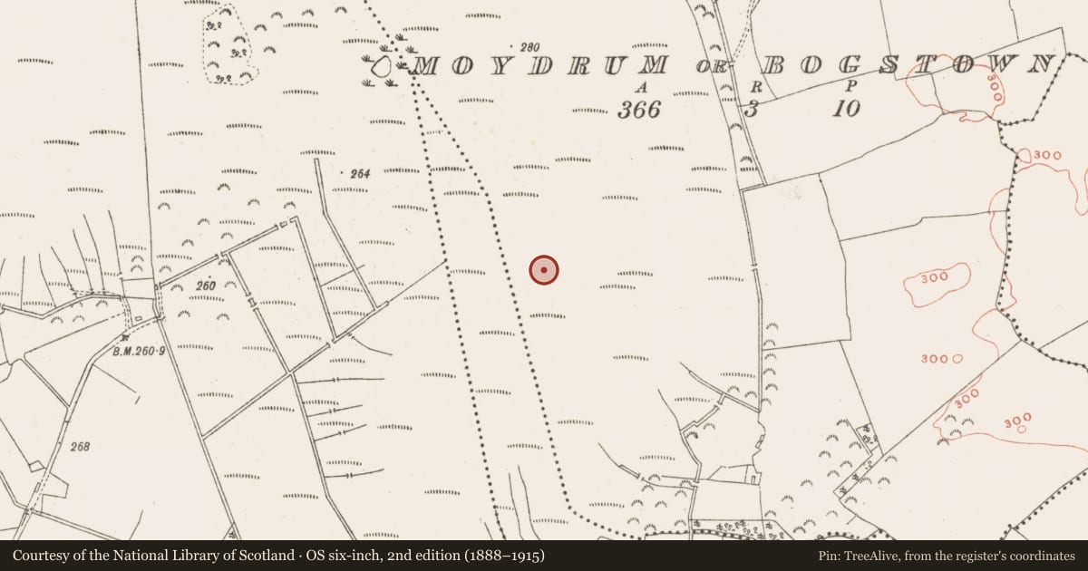 Ordnance Survey six-inch map, 2nd edition (1888–1915) covering the location of Road - class 1 togher, County Meath, with a pin at the register's coordinates