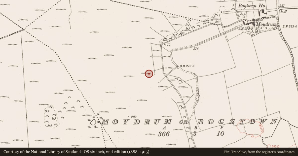 Ordnance Survey six-inch map, 2nd edition (1888–1915) covering the location of Structure - peatland, Moydrum Or Bogstown, County Meath, with a pin at the register's coordinates