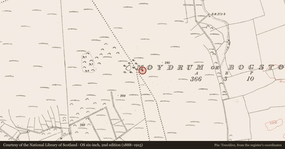 Ordnance Survey six-inch map, 2nd edition (1888–1915) covering the location of Structure - peatland, Moydrum Or Bogstown, County Meath, with a pin at the register's coordinates