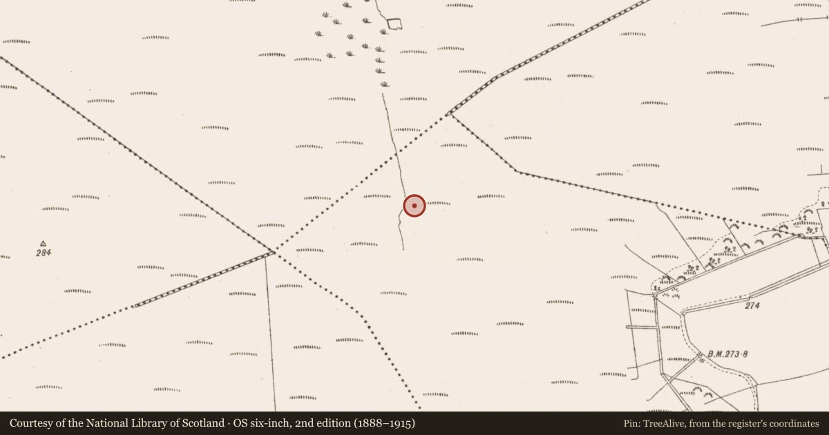 Ordnance Survey six-inch map, 2nd edition (1888–1915) covering the location of Structure - peatland, Moydrum Or Bogstown, County Meath, with a pin at the register's coordinates