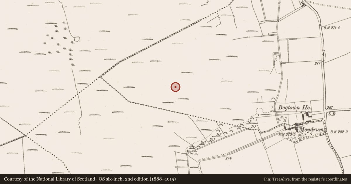 Ordnance Survey six-inch map, 2nd edition (1888–1915) covering the location of Structure - peatland, Ticroghan, County Meath, with a pin at the register's coordinates