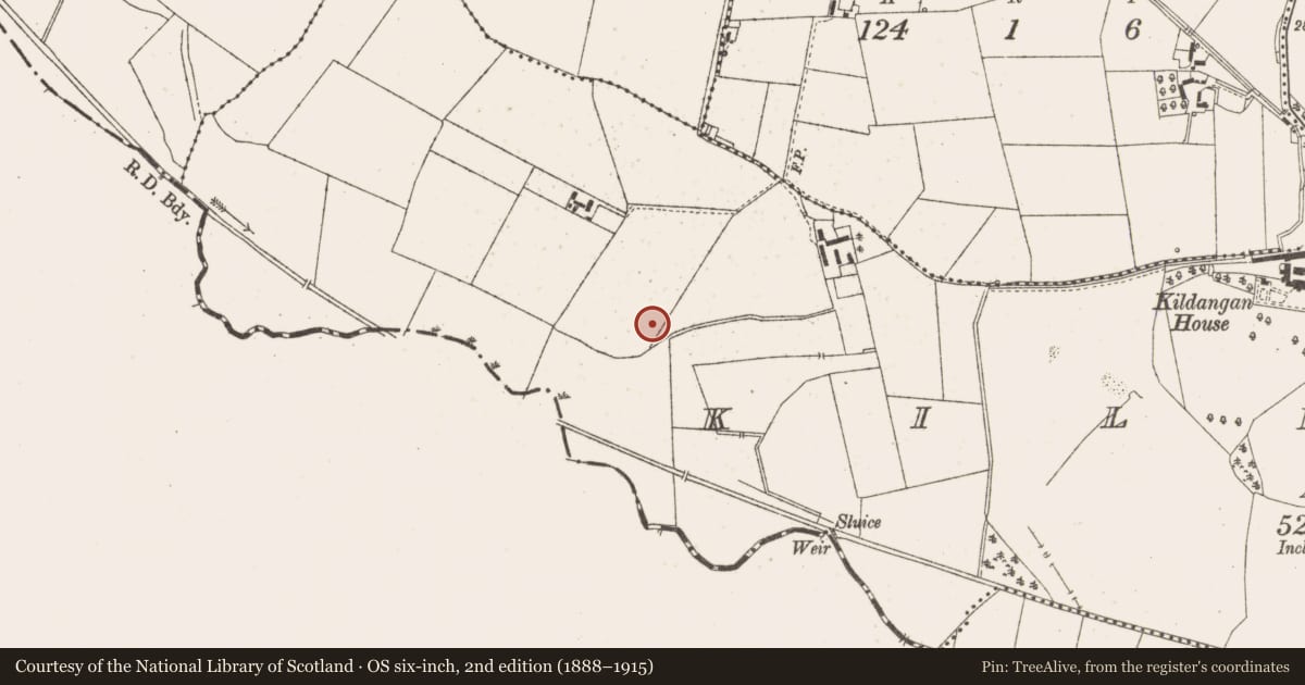 Ordnance Survey six-inch map, 2nd edition (1888–1915) covering the location of Burial, Kildangan, County Meath, with a pin at the register's coordinates