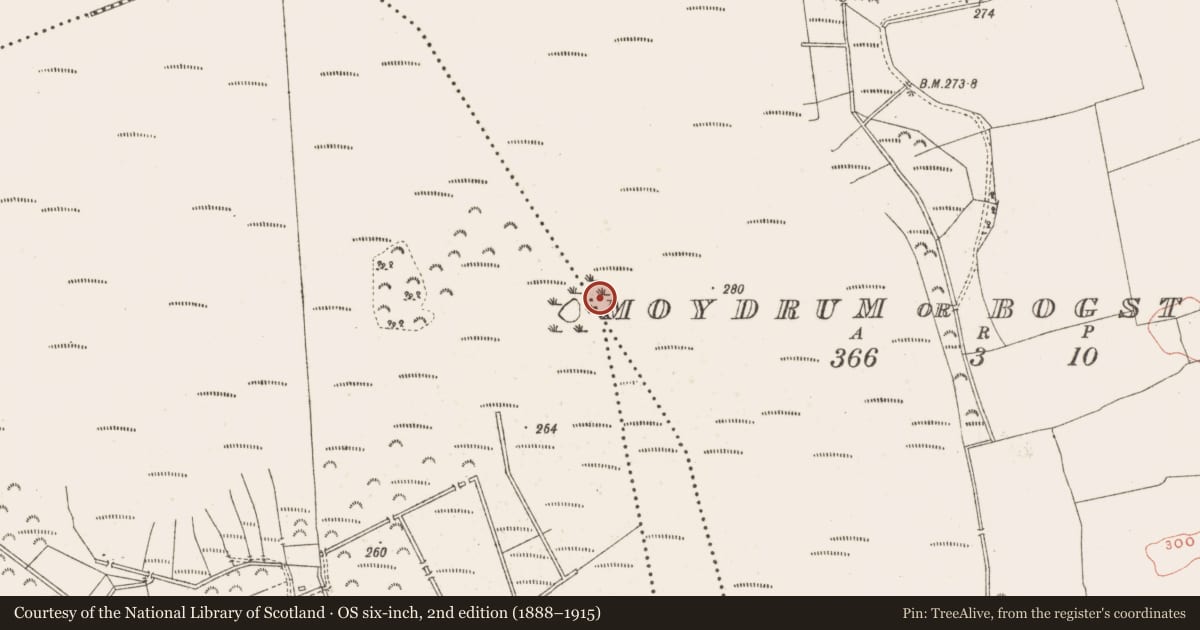 Ordnance Survey six-inch map, 2nd edition (1888–1915) covering the location of Road - class 2 togher, Moydrum Or Bogstown, County Meath, with a pin at the register's coordinates