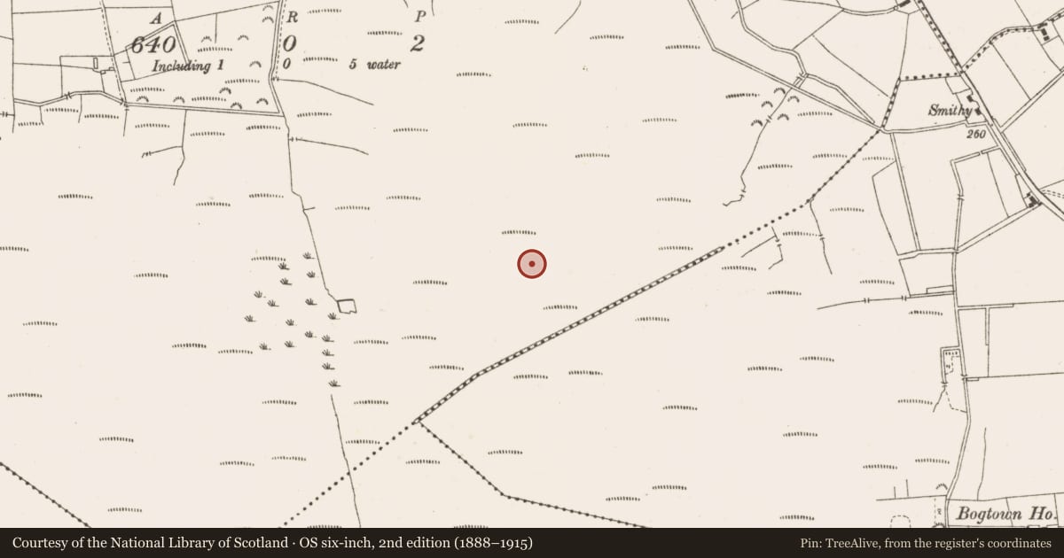 Ordnance Survey six-inch map, 2nd edition (1888–1915) covering the location of Road - class 3 togher, Rossan, County Meath, with a pin at the register's coordinates