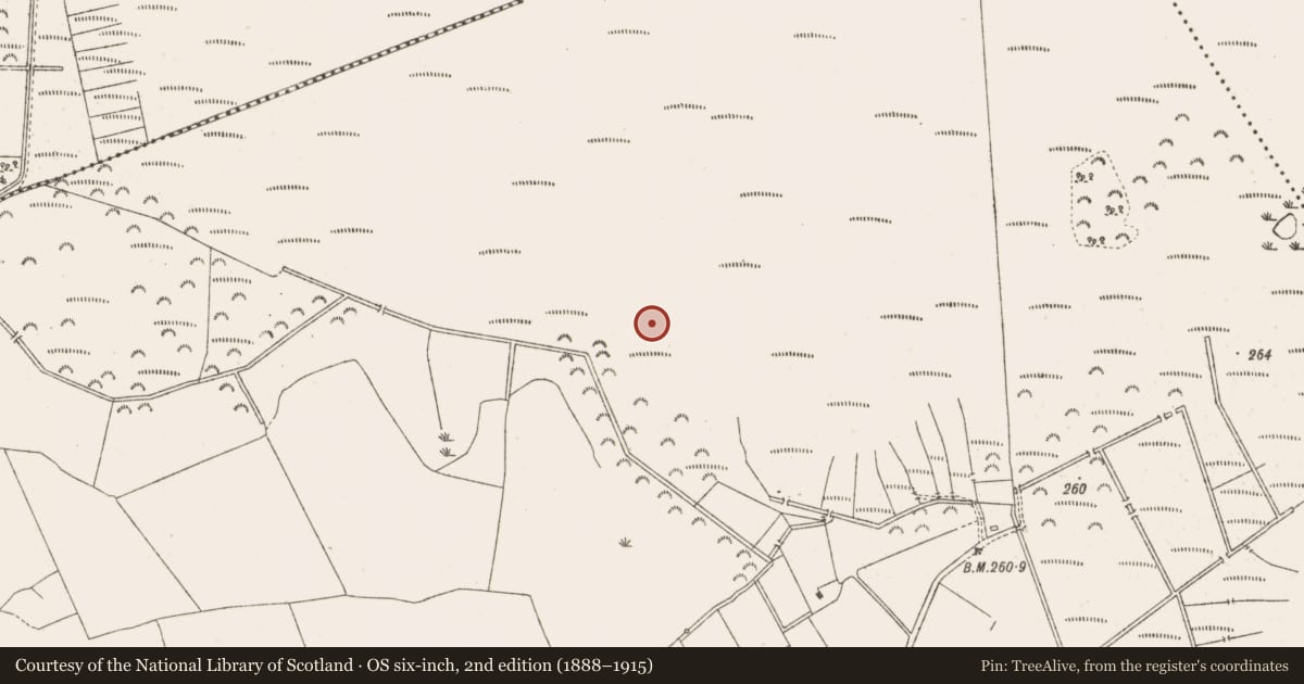 Ordnance Survey six-inch map, 2nd edition (1888–1915) covering the location of Road - class 1 togher, Knockersally Or Colehill, County Meath, with a pin at the register's coordinates