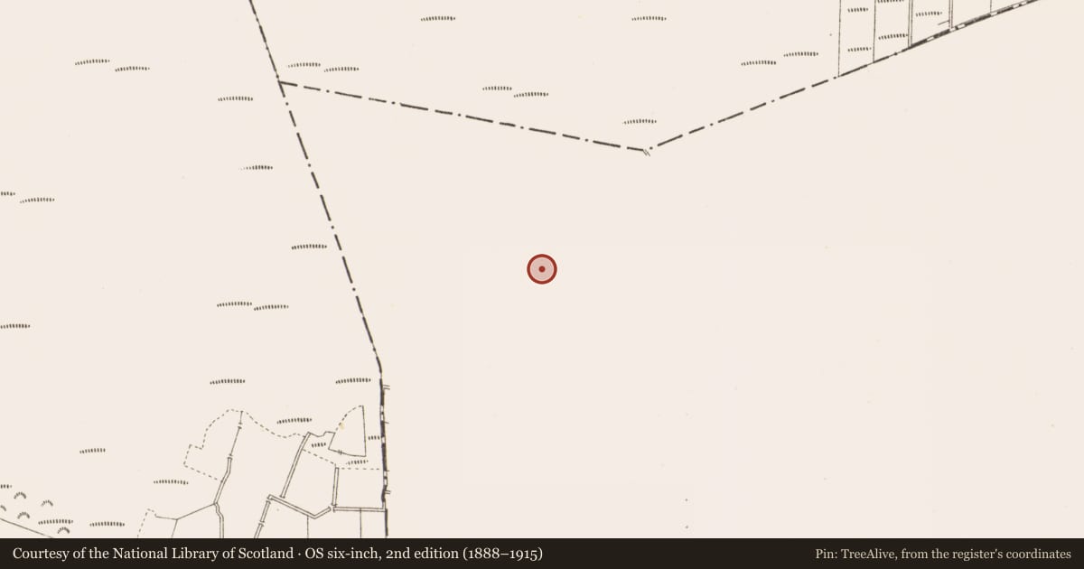 Ordnance Survey six-inch map, 2nd edition (1888–1915) covering the location of Structure - peatland, Derryhinch, County Meath, with a pin at the register's coordinates
