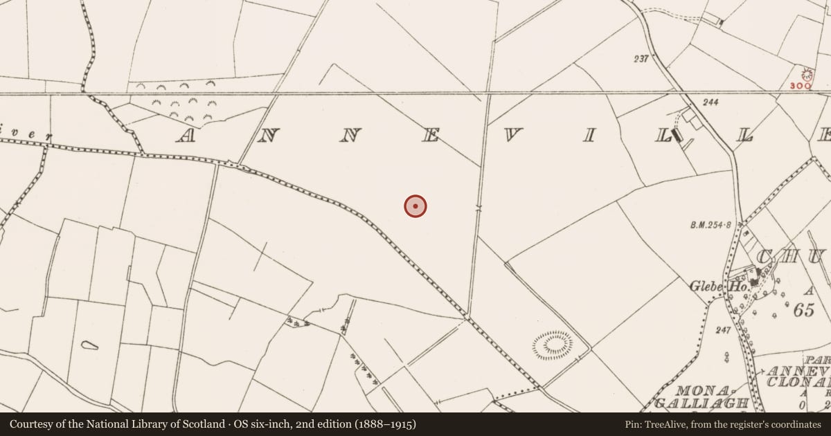 Ordnance Survey six-inch map, 2nd edition (1888–1915) covering the location of Concentric enclosure, Anneville Or Clonard Old, County Meath, with a pin at the register's coordinates