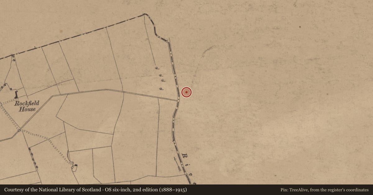 Ordnance Survey six-inch map, 2nd edition (1888–1915) covering the location of Concentric enclosure, Clonguiffin, County Meath, with a pin at the register's coordinates