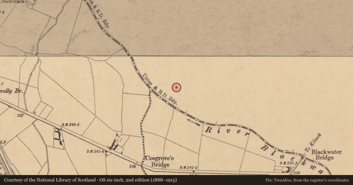 Ordnance Survey six-inch map, 2nd edition (1888–1915) covering the location of Moated site, Ballinderry, County Meath, with a pin at the register's coordinates
