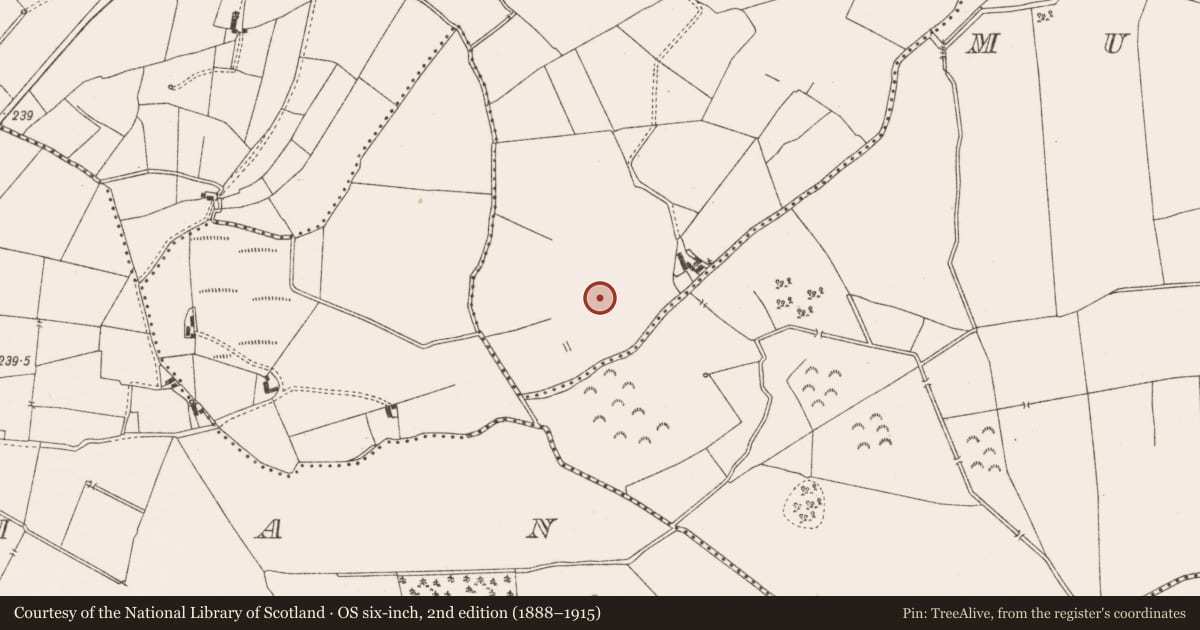 Ordnance Survey six-inch map, 2nd edition (1888–1915) covering the location of Fulacht fia, Towlaght, County Meath, with a pin at the register's coordinates