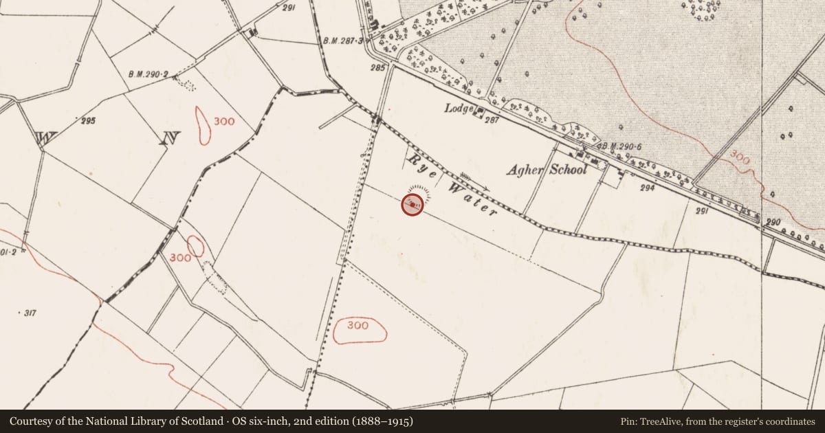 Ordnance Survey six-inch map, 2nd edition (1888–1915) covering the location of Ringfort - rath, Ardrums Great, County Meath, with a pin at the register's coordinates