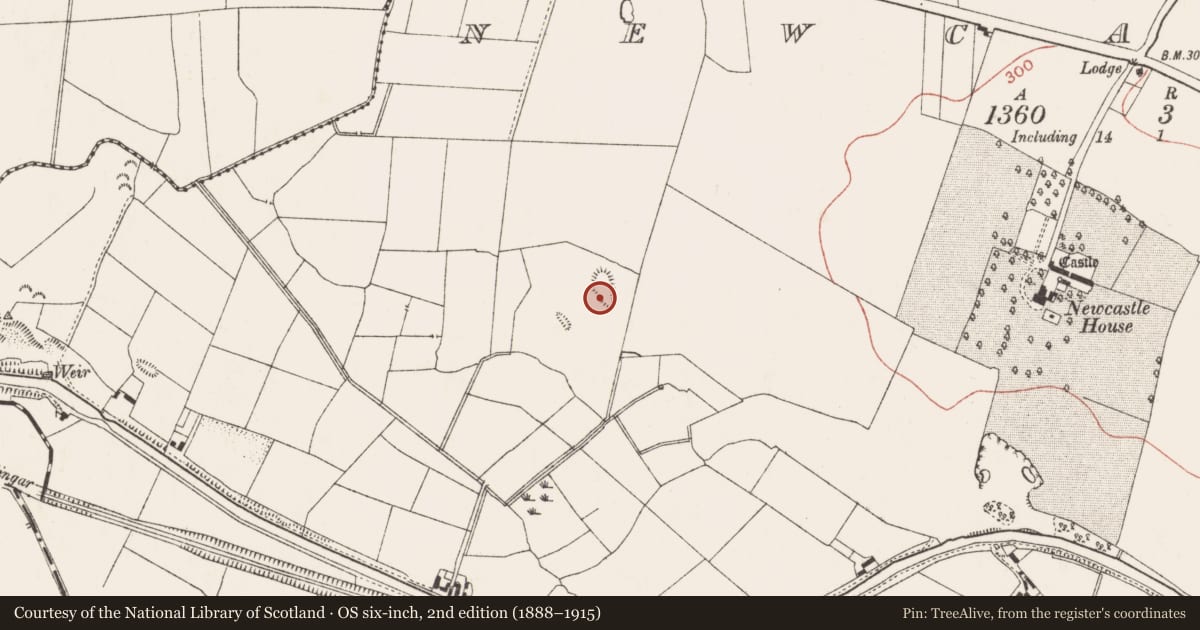 Ordnance Survey six-inch map, 2nd edition (1888–1915) covering the location of Ringfort - rath, Newcastle, County Meath, with a pin at the register's coordinates