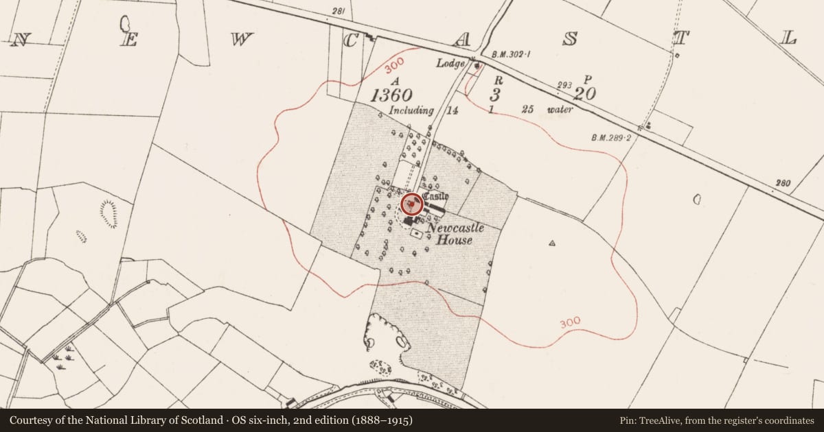 Ordnance Survey six-inch map, 2nd edition (1888–1915) covering the location of Castle - tower house, Newcastle, County Meath, with a pin at the register's coordinates