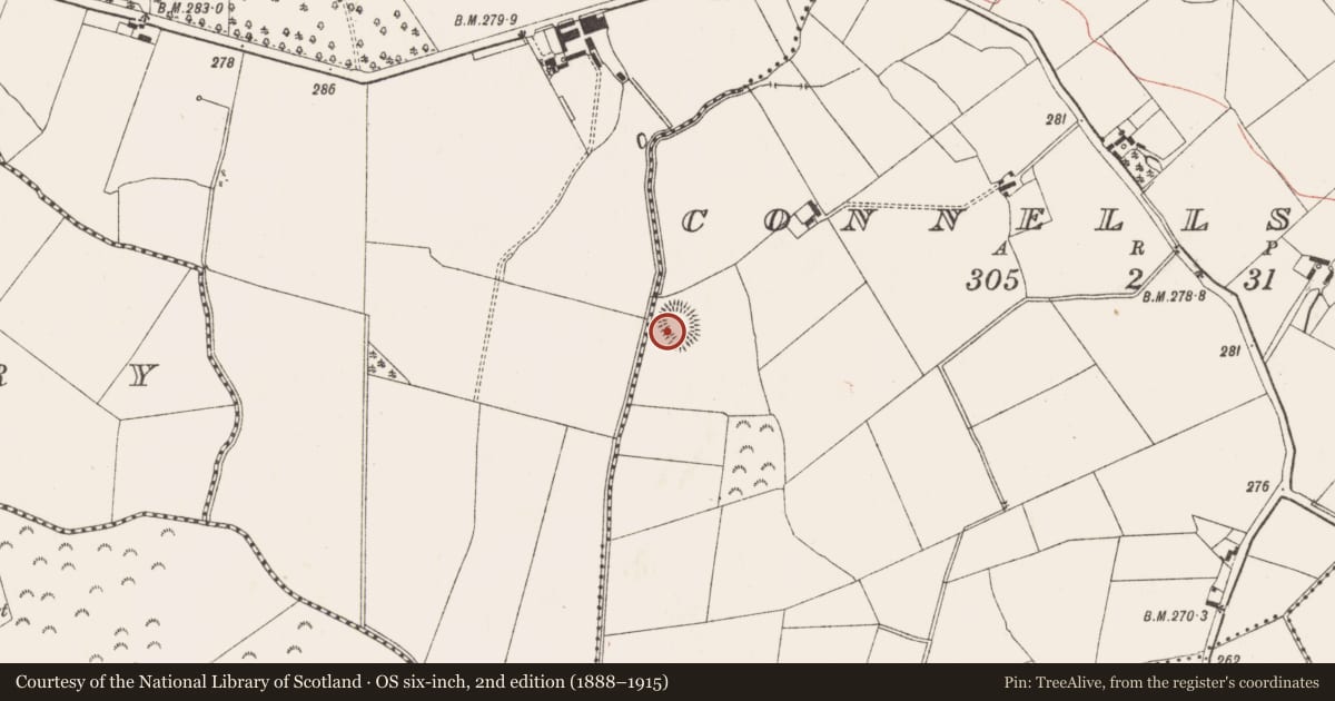 Ordnance Survey six-inch map, 2nd edition (1888–1915) covering the location of Ringfort - rath, Connellstown, County Meath, with a pin at the register's coordinates