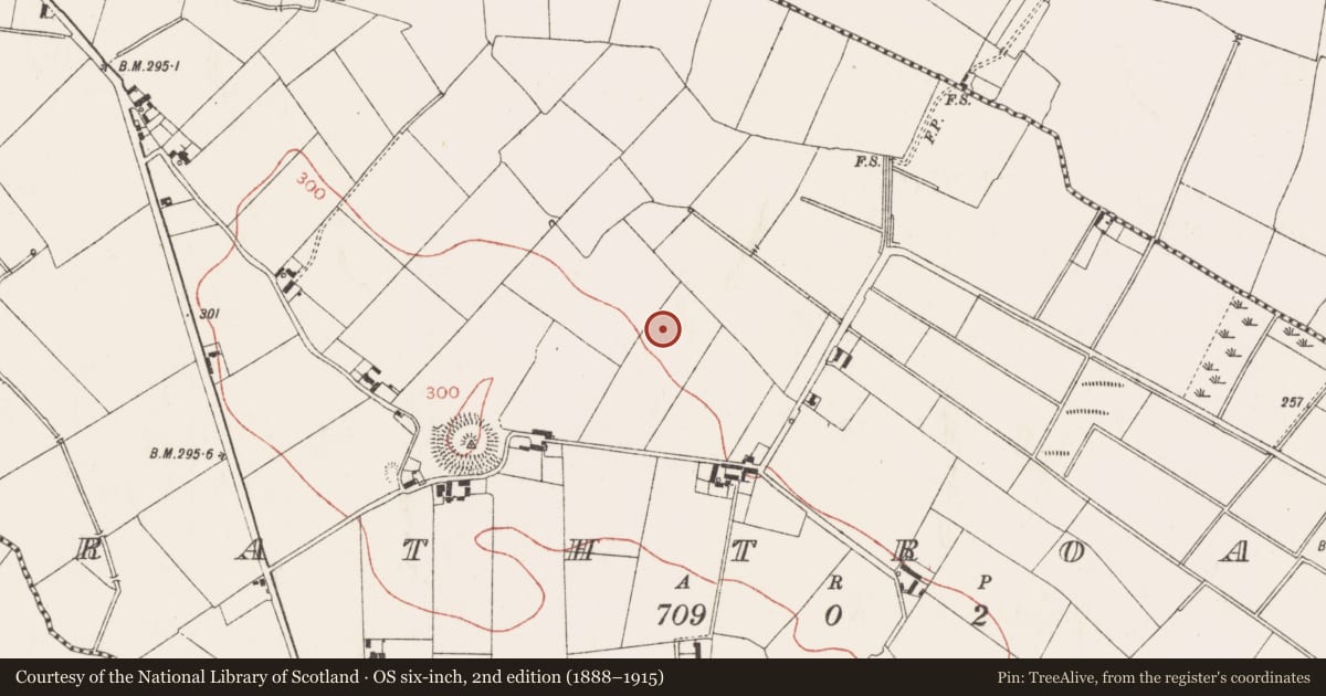Ordnance Survey six-inch map, 2nd edition (1888–1915) covering the location of Church, Rathtroane, County Meath, with a pin at the register's coordinates