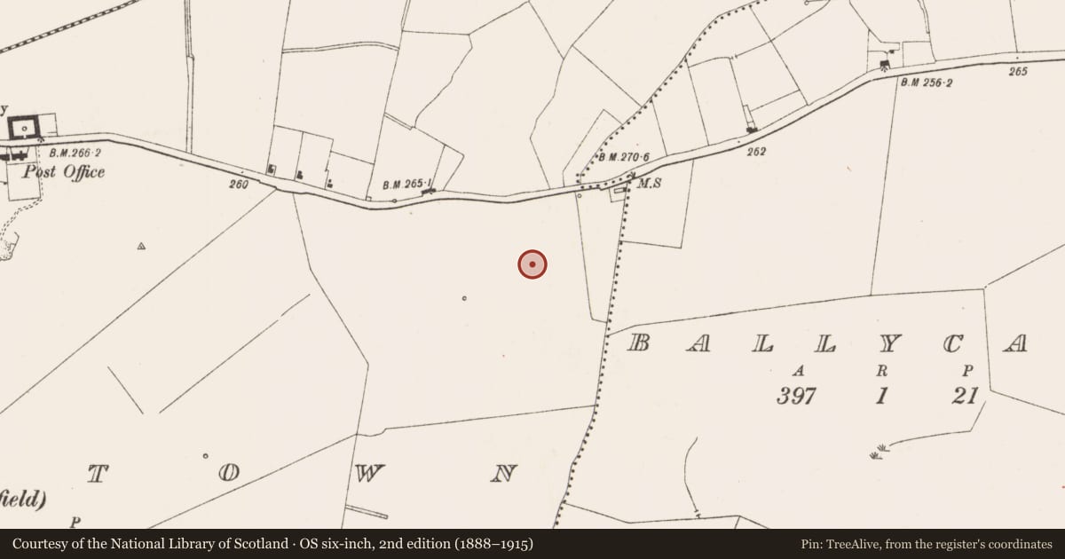 Ordnance Survey six-inch map, 2nd edition (1888–1915) covering the location of Flat cemetery, Johnstown (Moyfenrath Lower By., Rathcore Par.), County Meath, with a pin at the register's coordinates